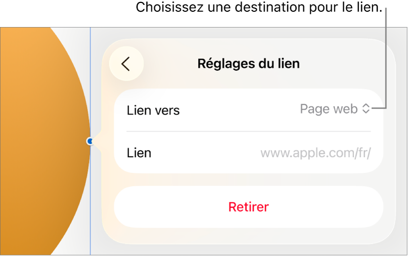 Les commandes « Réglages du lien » avec une page web sélectionnée et le bouton Supprimer en bas.