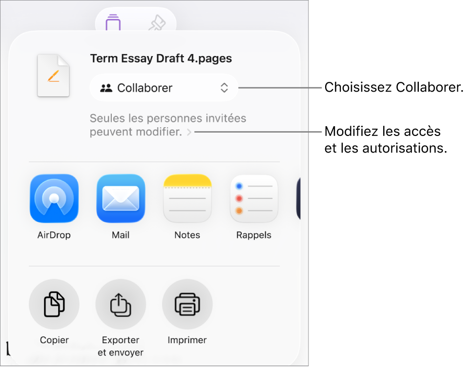 Le menu Partager avec l’option Collaborer sélectionnée en haut, et des réglages d’accès et d’autorisation en dessous.