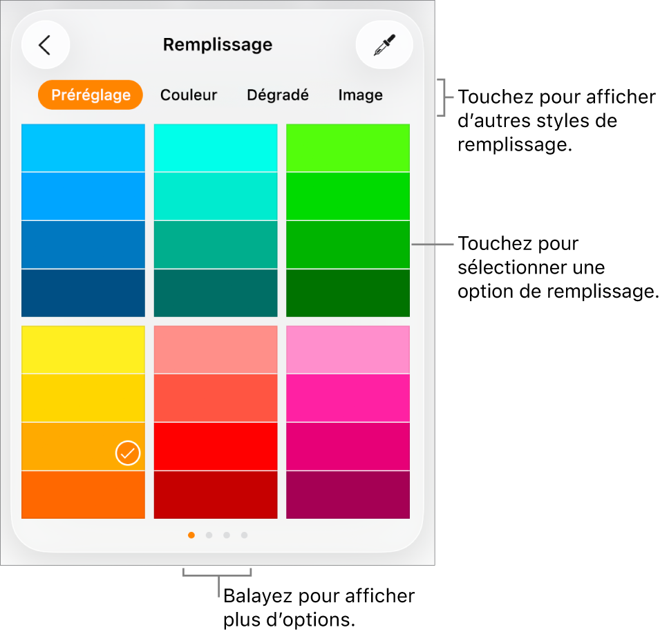 Options de remplissage de l’onglet Style du bouton Format.