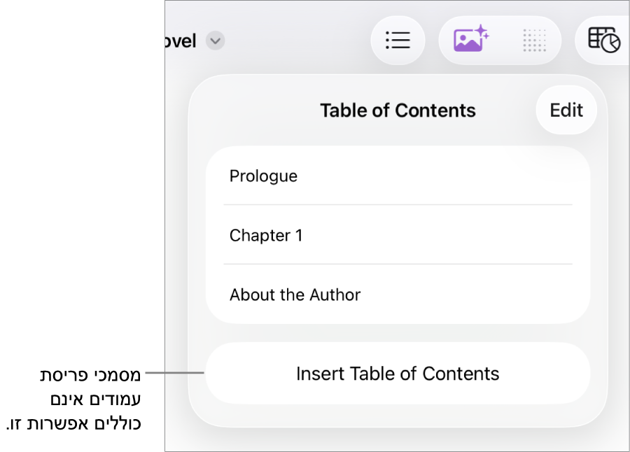 תצוגת תוכן העניינים עם ״עריכה״ בפינה השמאלית העליונה, ערכי תוכן העניינים והכפתור ״הוסף תוכן עניינים״ למטה.