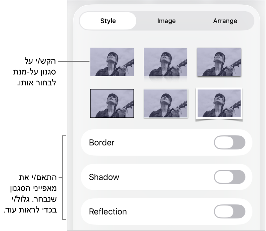 הכרטיסייה ״סגנון״ בתפריט ״עיצוב״ עם סגנונות אובייקטים בחלק העליון ומתחת להם כלי בקרה לשינוי הגבול, הצללית, ההשתקפות והאטימות.