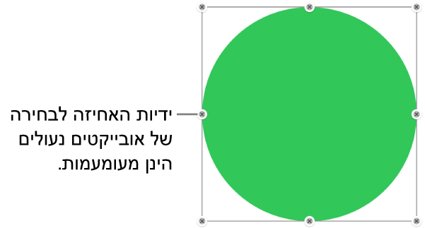 אובייקט נעול עם ידיות בחירה מעומעמות.
