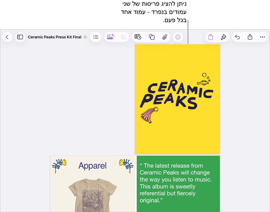 מסמך עם תצוגה של עמודים בפריסת שני עמודים.