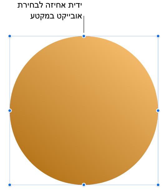 אובייקט עם ידיות אחיזה לבחירה.