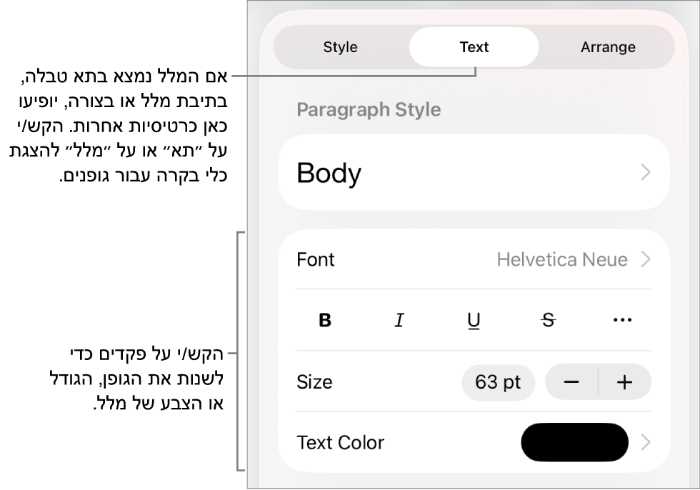 כלי בקרה של מלל בתפריט ״עיצוב״ להגדרת סגנונות, גופן, גודל וצבע עבור פיסקאות ותווים.