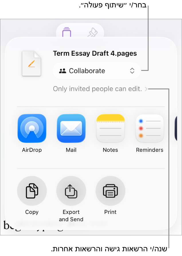 תפריט השיתוף כאשר האפשרות ״שיתוף פעולה״ נבחרת בחלק העליון ומתחתיה הגדרות הגישה וההרשאות.