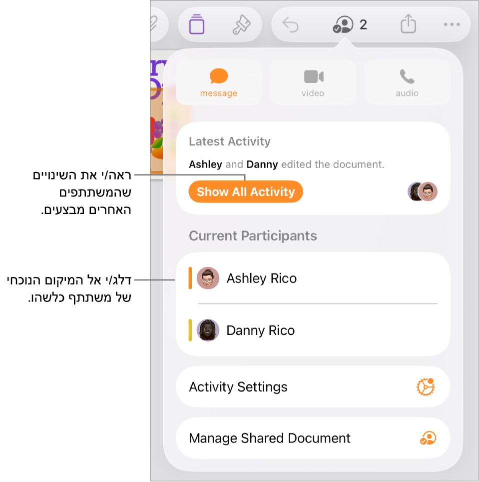 תפריט ״שיתוף פעולה״ שרואים בו משתתפים פעילים כעת.