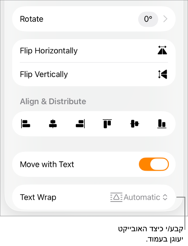 כלי הבקרה ״עיצוב״ כשהכרטיסייה ״ארגן״ נבחרה, ועם כלי הבקרה ״העבר אחורה/קדימה״, ״העבר עם המלל״ ו״גלישת מלל״.