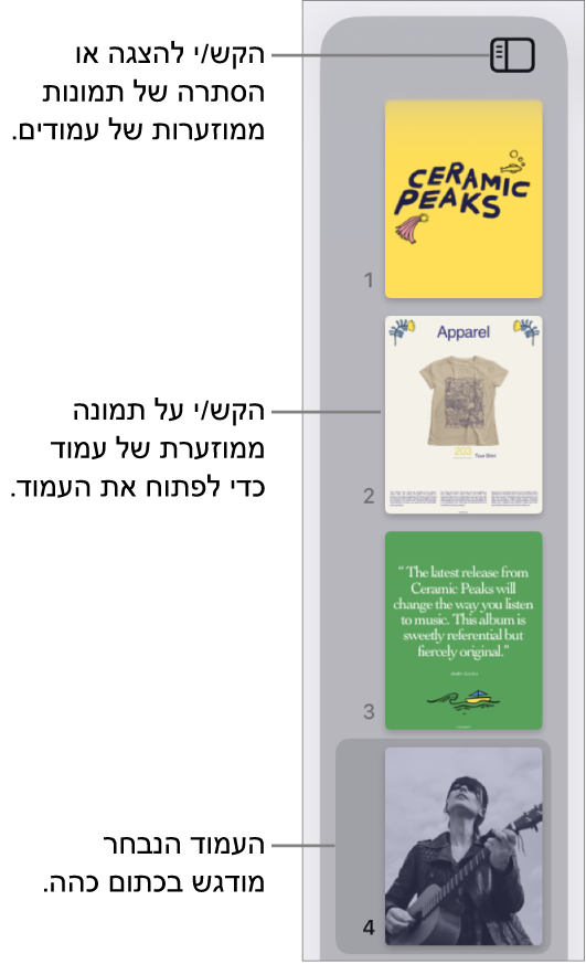 התצוגה ״תמונות ממוזערות של עמודים״ בצד השמאלי של המסך, עם עמוד אחד נבחר. הכפתור ״אפשרויות תצוגה״ ממוקם מעל לתמונות הממוזערות.