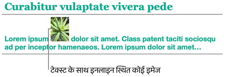 आकृति को टेक्स्ट के साथ इनलाइन में रखा गया है.