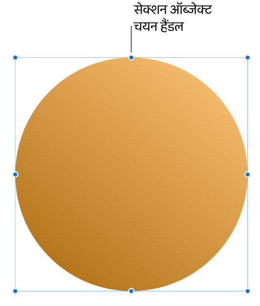 चयनित हैंडलों वाला ऑब्जेक्ट।