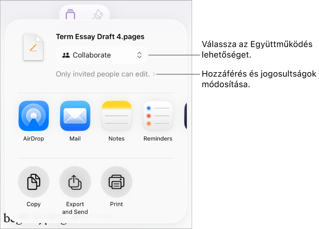 A Megosztás menü a felül kijelölt Együttműködés lehetőséggel, és az alatt látható hozzáférési és jogosultsági beállításokkal.