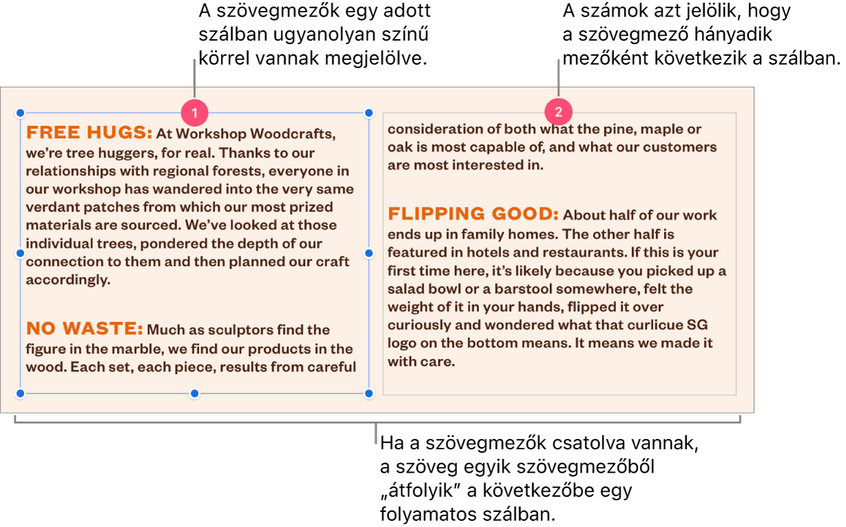 Két szövegmező a tetejükön lila körökkel, a körökben pedig az 1 és 2 számmal.