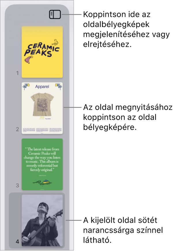Az Oldalbélyegképek nézete a képernyő bal oldalán, egy kijelölt oldallal. A Nézetbeállítások gomb a bélyegképek felett található.