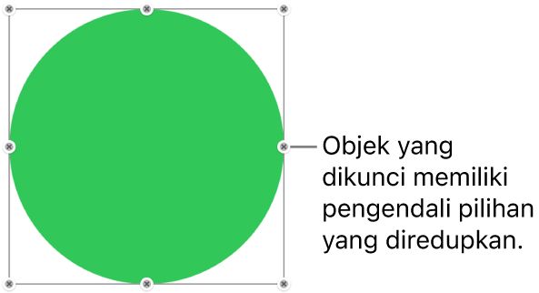 Sebuah objek yang terkunci dengan pengendali pilihan yang diredupkan.