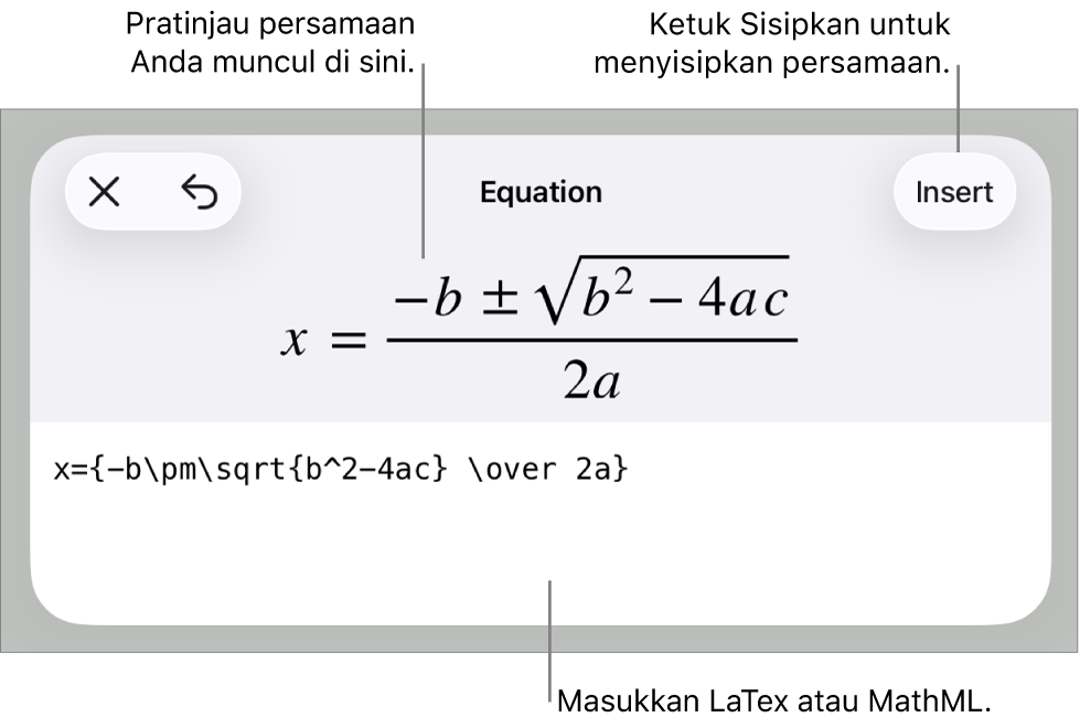 Dialog Persamaan, menampilkan sebuah persamaan ditulis menggunakan perintah MathML, dan pratinjau formula di atas.