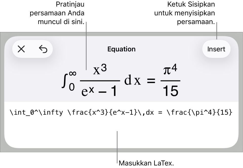 Dialog Persamaan, menampilkan sebuah persamaan ditulis menggunakan perintah LaTex, dan pratinjau formula di atas.