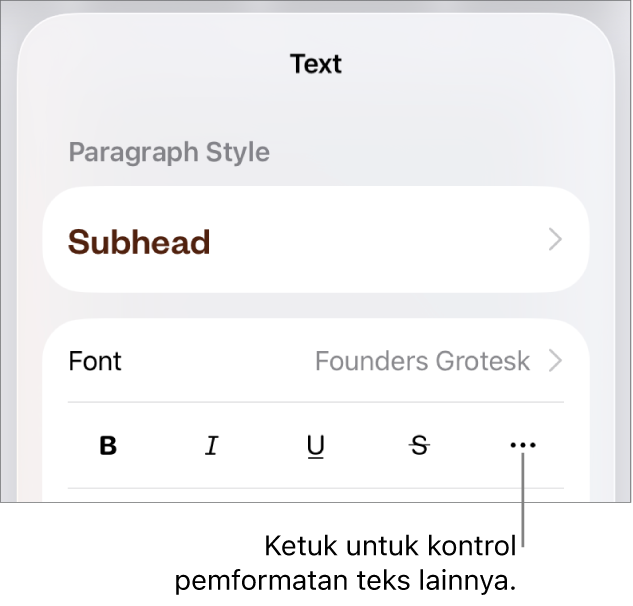 Tab teks pada kontrol Format, dengan keterangan ke tombol Pilihan Teks Lainnya.