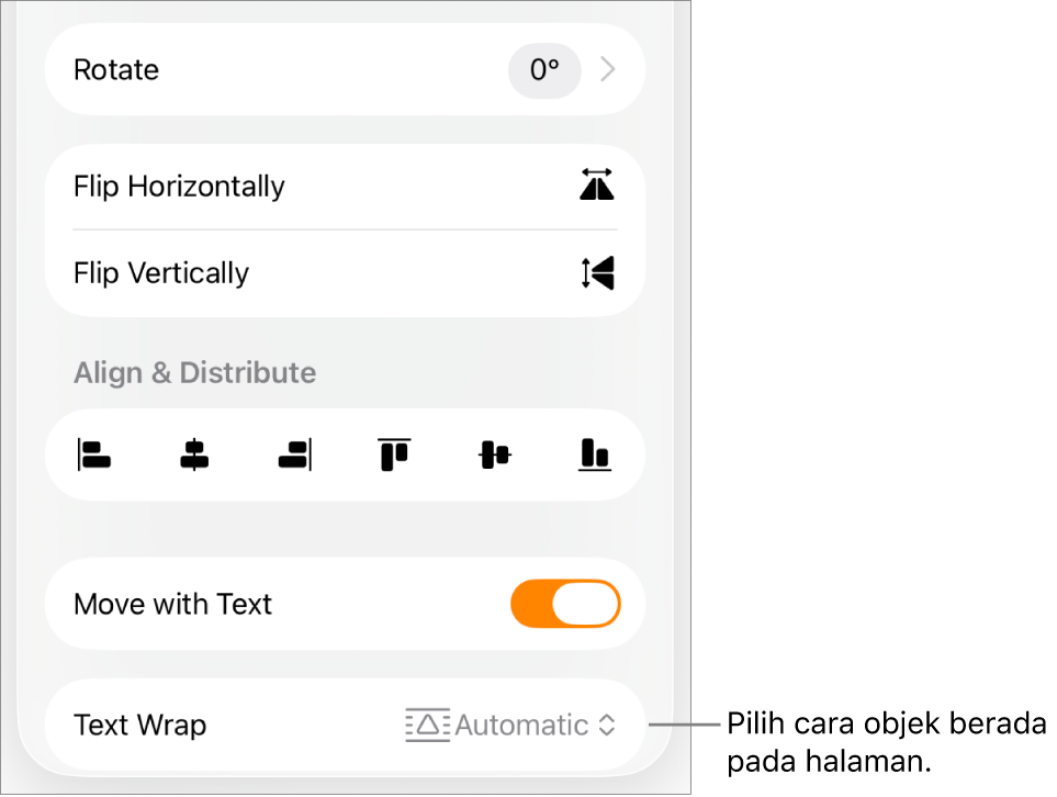 Kontrol Format dengan tab Susun dipilih dan kontrol untuk Pindahkan ke Belakang/Depan, Pindahkan dengan Teks, dan Pembungkusan Teks.