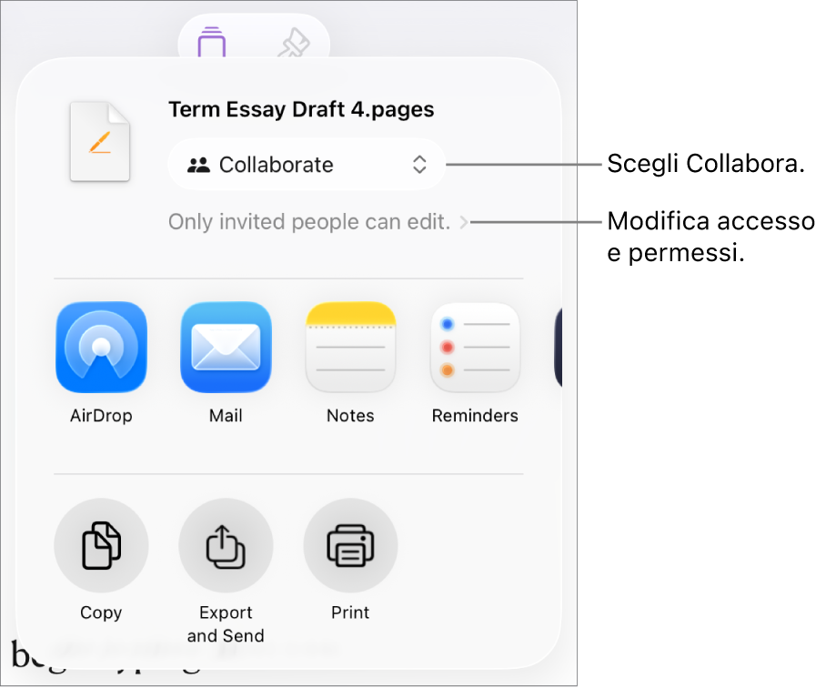 Il menu di condivisone con l’opzione Collabora selezionata in alto e le impostazioni di accesso e dei permessi sotto.