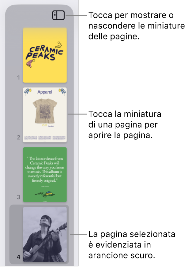 Vista “Miniature pagina” sul lato sinistro dello schermo, con una pagina selezionata. Pulsante “Opzioni visualizzazione” che si trova sopra le miniature.