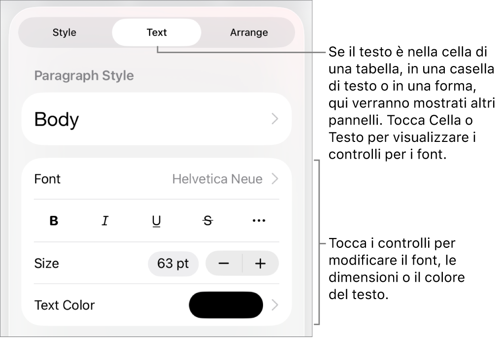 Controlli di testo nel menu Formattazione per impostare stili di carattere e paragrafo, font, dimensione e colore.