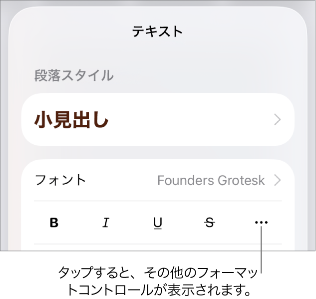 「フォーマット」コントロールの「テキスト」タブ。「その他のテキストオプション」ボタンへのコールアウトが表示された状態。