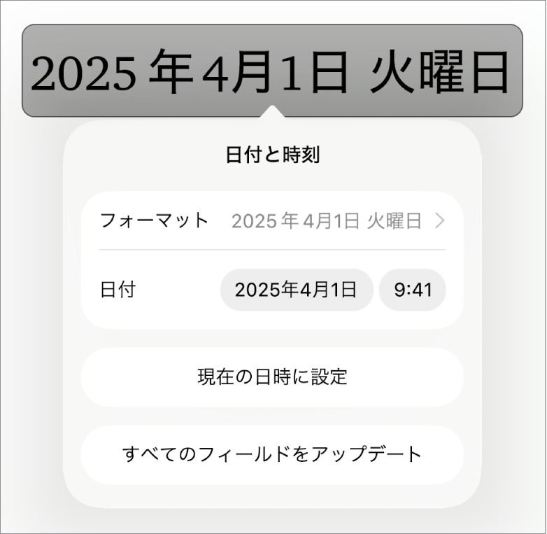 「日付と時刻」コントロール。日付の「フォーマット」のポップアップメニューと、「現在の日時に設定」ボタンおよび「すべてのフィールドをアップデート」ボタンが表示された状態。