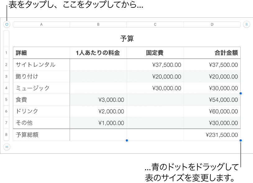 選択された表。サイズを変更するための青いドットが表示された状態。