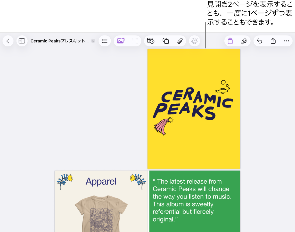 ページが見開き2ページとして表示されている書類。