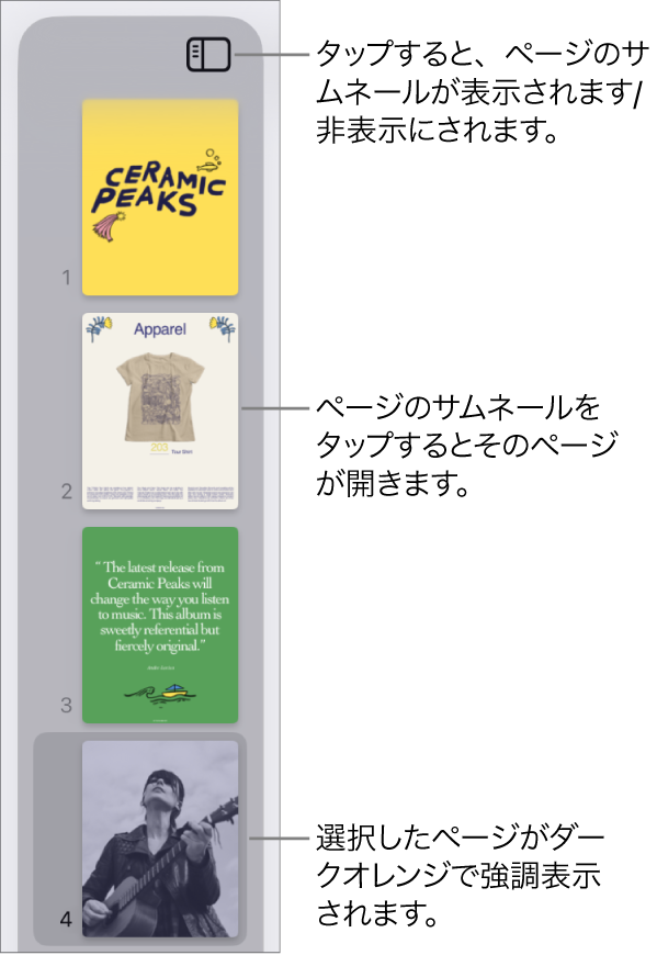 画面左側にある、ページのサムネール表示。ページが1つ選択されています。サムネールの上に「表示オプション」ボタンがあります。
