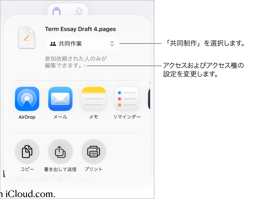 「共有」メニュー。上部の「共同作業」が選択されていて、下に参加対象とアクセス権の設定があります。