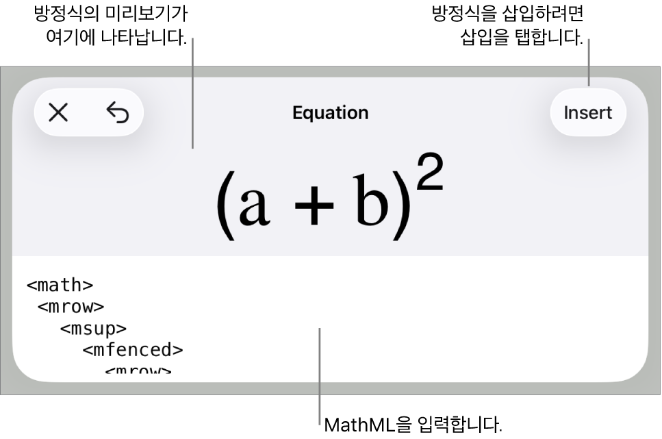 MathML 명령어를 사용하여 적은 방정식 및 그 위에 공식 미리보기를 표시하는 방정식 대화상자.