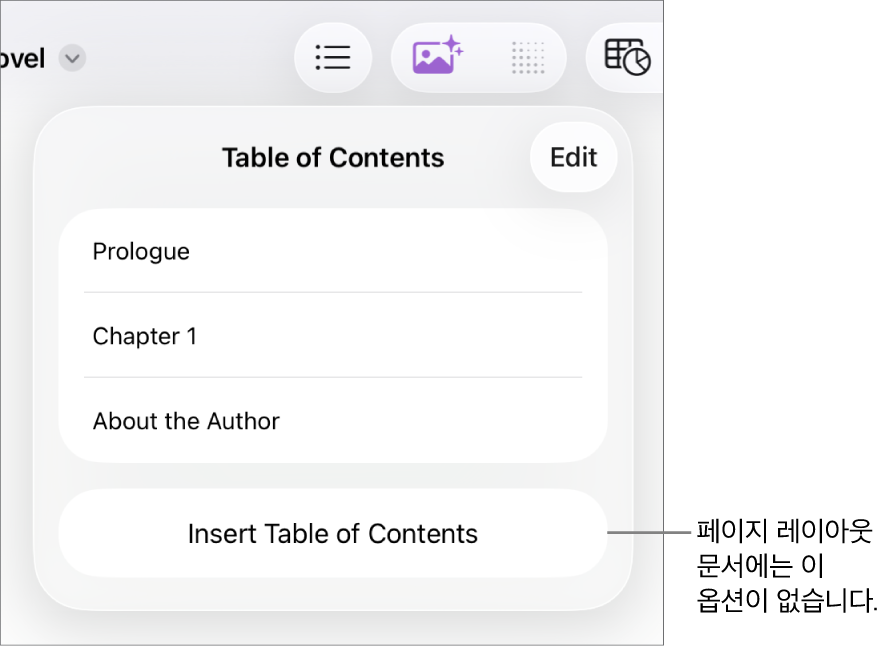 오른쪽 상단 모서리에 편집 버튼이 있고 하단에 목차 항목 및 목차 삽입 버튼이 있는 목차 보기.