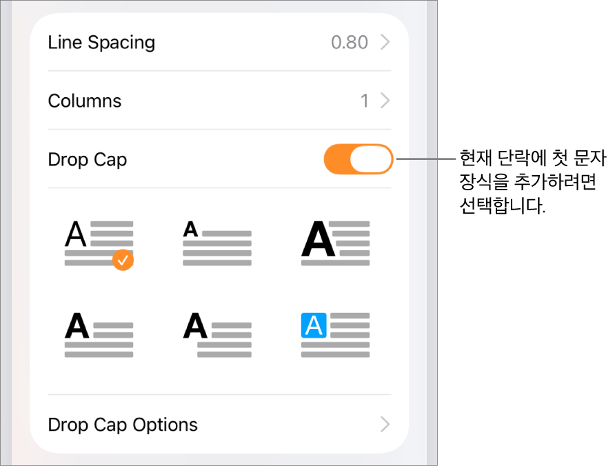 텍스트 메뉴에 위치한 ‘단락의 첫 문자 장식’ 제어기.