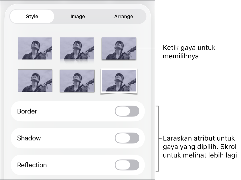 Tab Gaya menu Format dengan gaya objek di bahagian atas dan kawalan di bawahnya untuk menukar jidar, bayang, pantulan dan kelegapan.