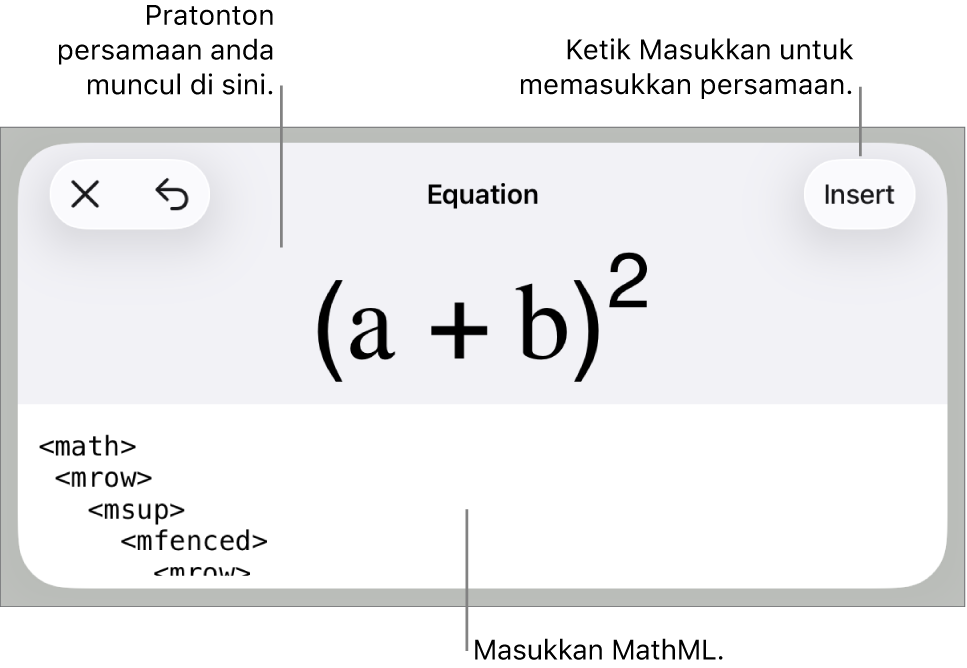 Dialog Persamaan, menunjukkan persamaan yang ditulis menggunakan perintah MathML manakala pratonton formulanya di atas.