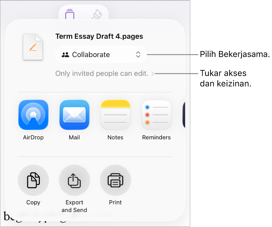 Menu Kongsi dengan Bekerjasama dipilih di bahagian atas dan seting akses serta keizinan di bahagian bawah.