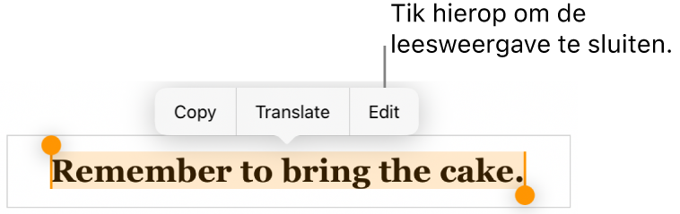 Er is een zin geselecteerd en erboven staat een contextueel menu met de knoppen 'Kopieer' en 'Wijzig'.