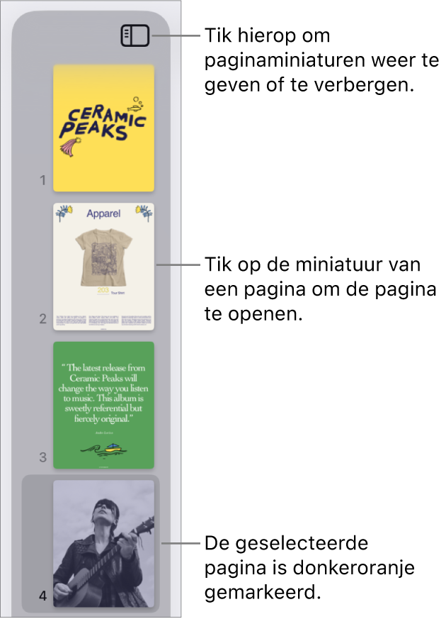 De paginaminiatuurweergave aan de linkerkant van het scherm waarin één pagina is geselecteerd. Boven de miniaturen staat de knop 'Weergaveopties'.