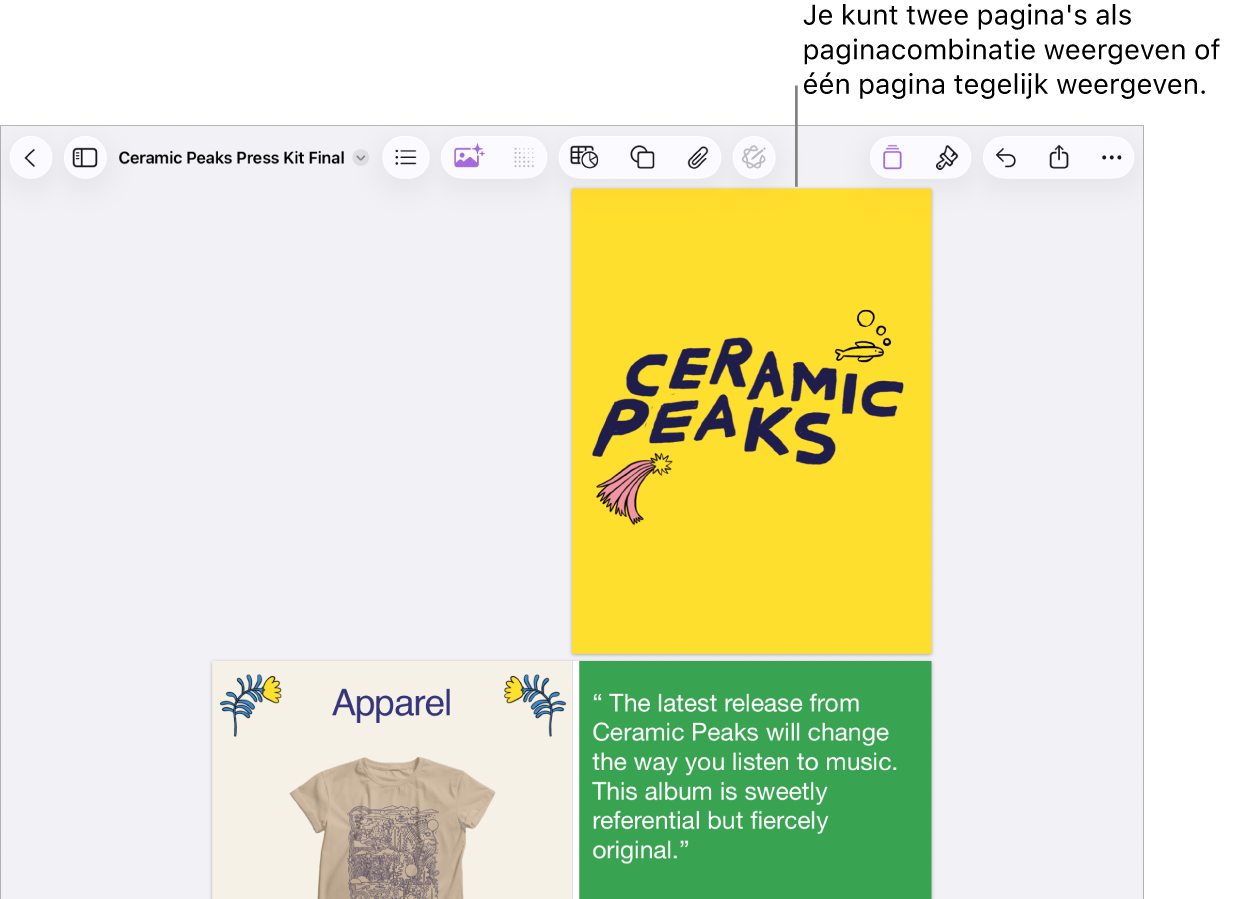 Een document met pagina's weergegeven als paginacombinatie.