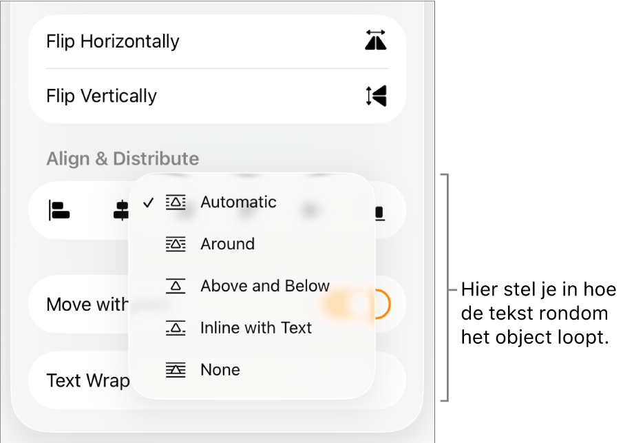 Het tabblad 'Orden' in het paneel met opmaakregelaars. In het tabblad staan regelaars voor tekstomloop met 'Naar achteren/Naar voren', 'Mee met tekst' en 'Tekstomloop'.
