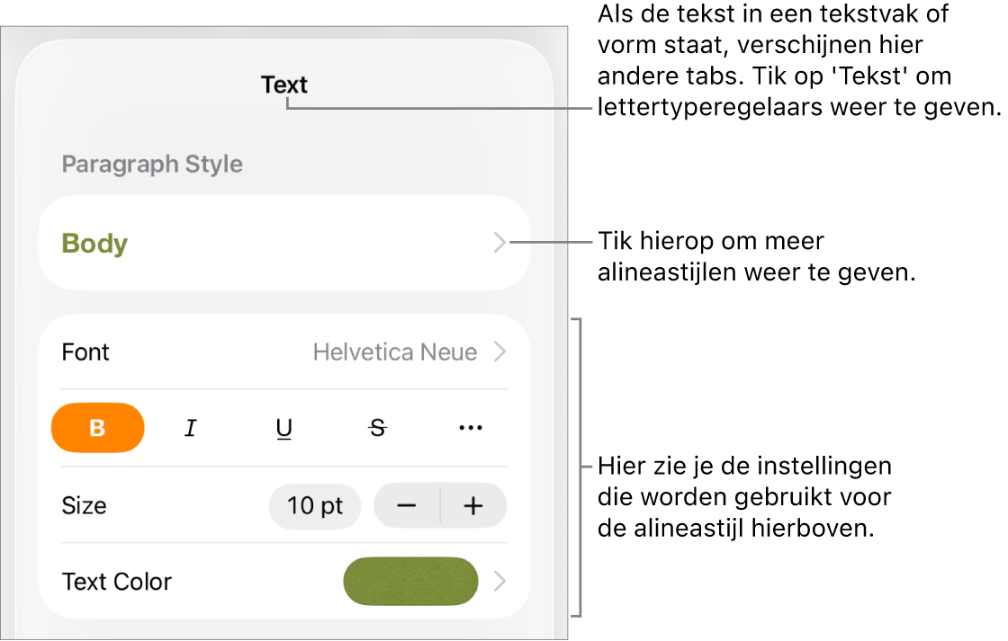 Het opmaakmenu met tekstregelaars voor het instellen van alinea- en tekenstijl, lettertype, lettergrootte en kleur.