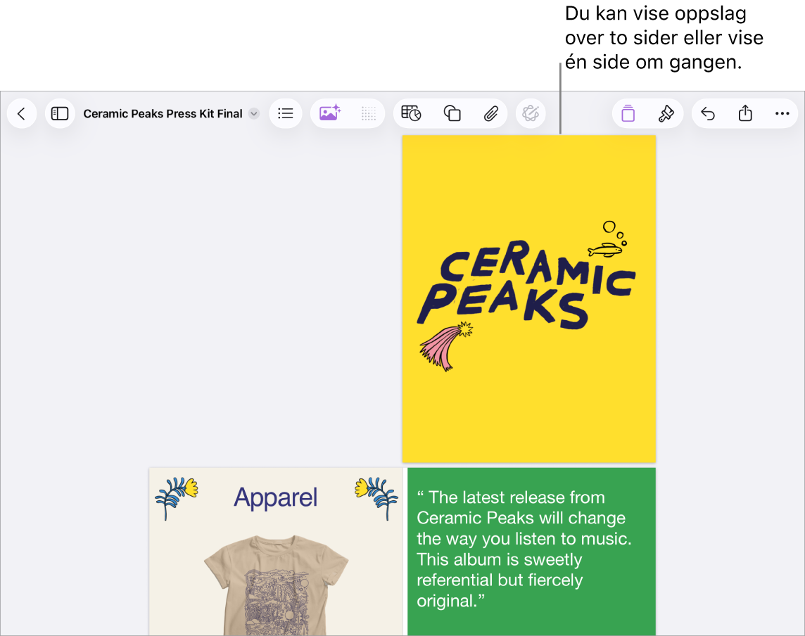 Et dokument med sider vist som tosidersoppslag.
