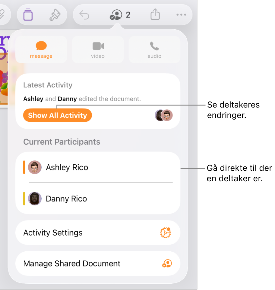 Samarbeidsmenyen, som viser gjeldende deltakere.