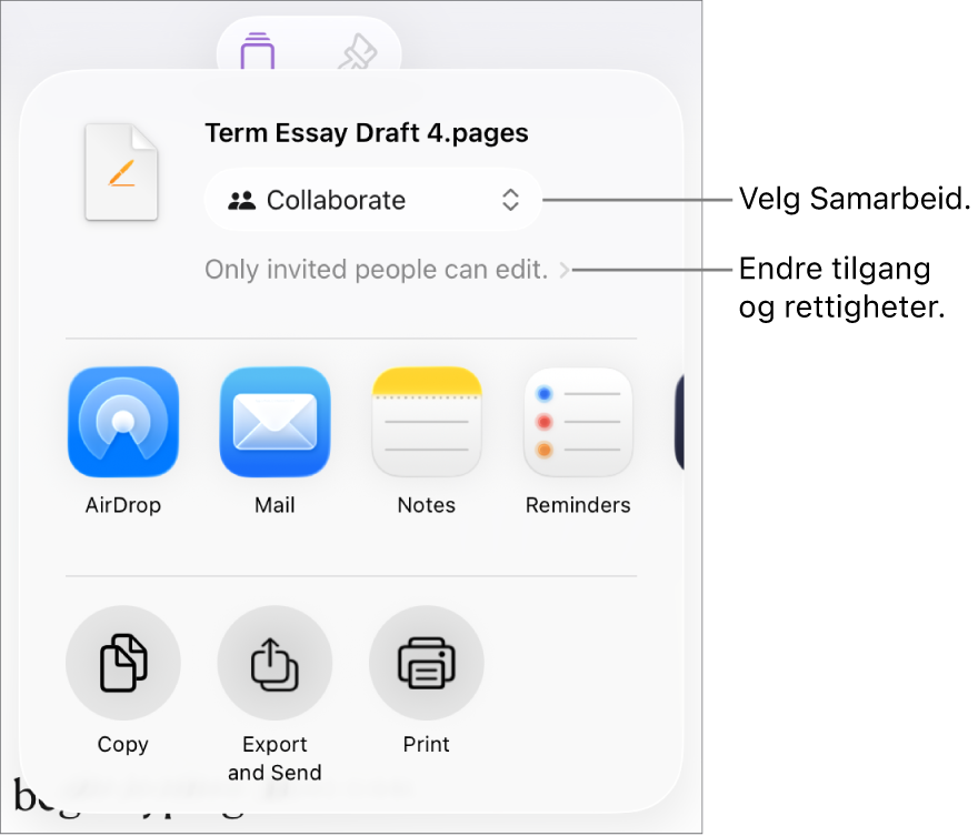 Del-menyen med Samarbeid markert øverst, og tilgangs- og tillatelsesinnstillingene under.