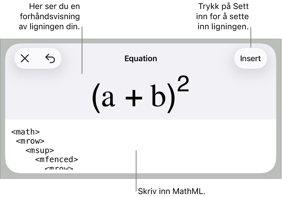 Ligning-dialogruten, som viser en formel skrevet med MathML-kommandoer, og en forhåndsvisning av formelen ovenfor.