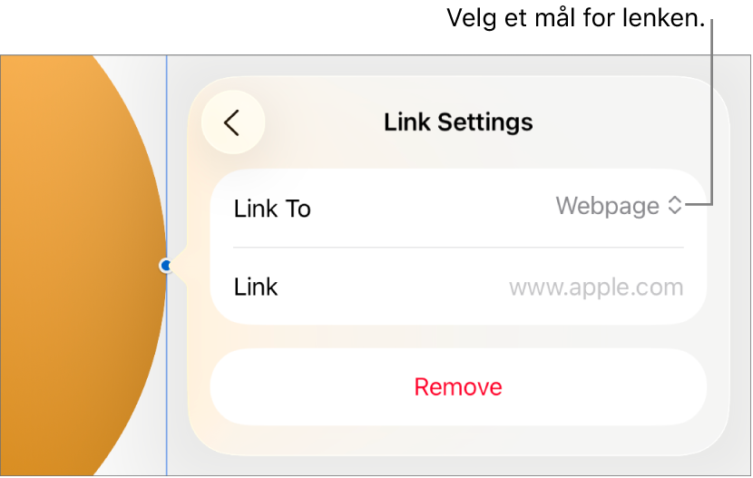 Lenkeinnstillinger-kontrollene med Nettside markert og Fjern-knappen nederst.
