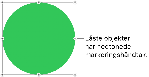 Et låst objekt med nedtonede markeringshåndtak.