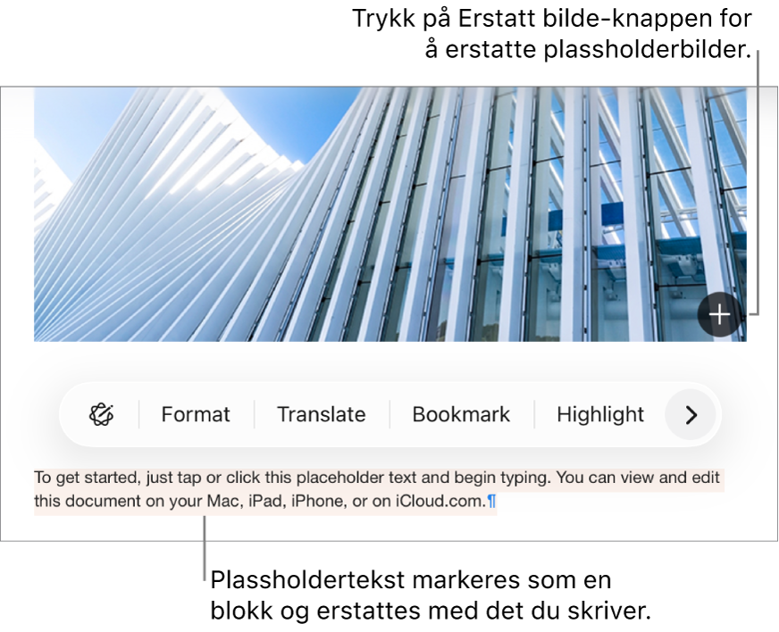 Plassholdertekst og -bilder.